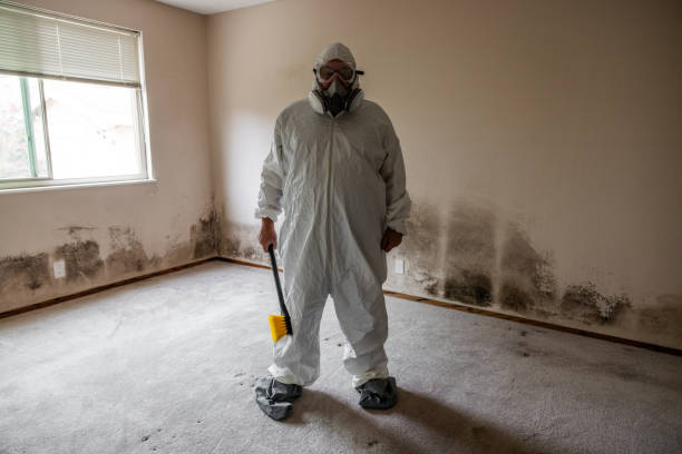 Best Bathroom Mold Remediation in Frankfort Square, IL
